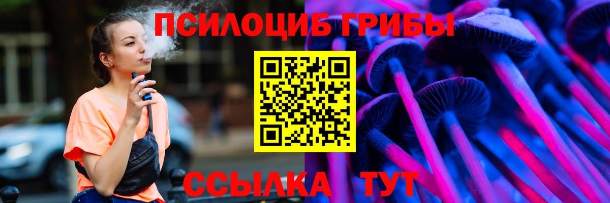 Псилоцибиновые грибы GOLDEN TEACHER  Галлюциногенные грибы прущие грибы  Губкин  Вход с VPN 